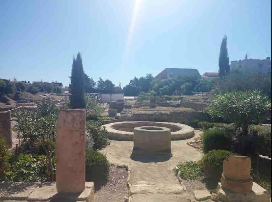 Soleil Sucre T2 Centre Historique De Narbonne