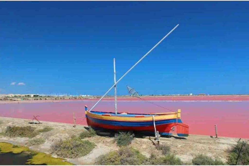 Soleil Sucre T2 Centre Historique De Narbona